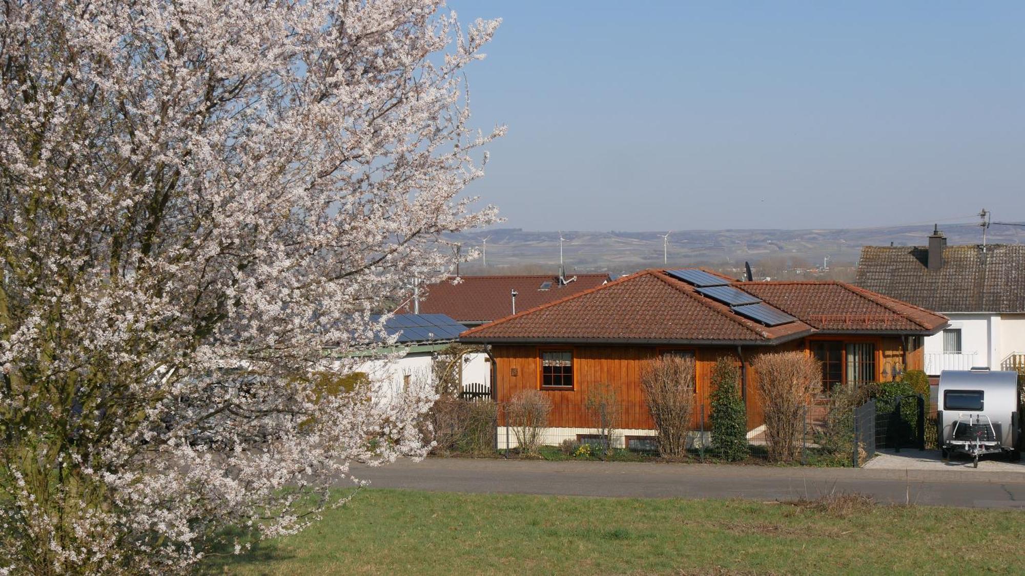 Ferienwohnung An Den Weingaerten Langenlonsheim Exteriör bild